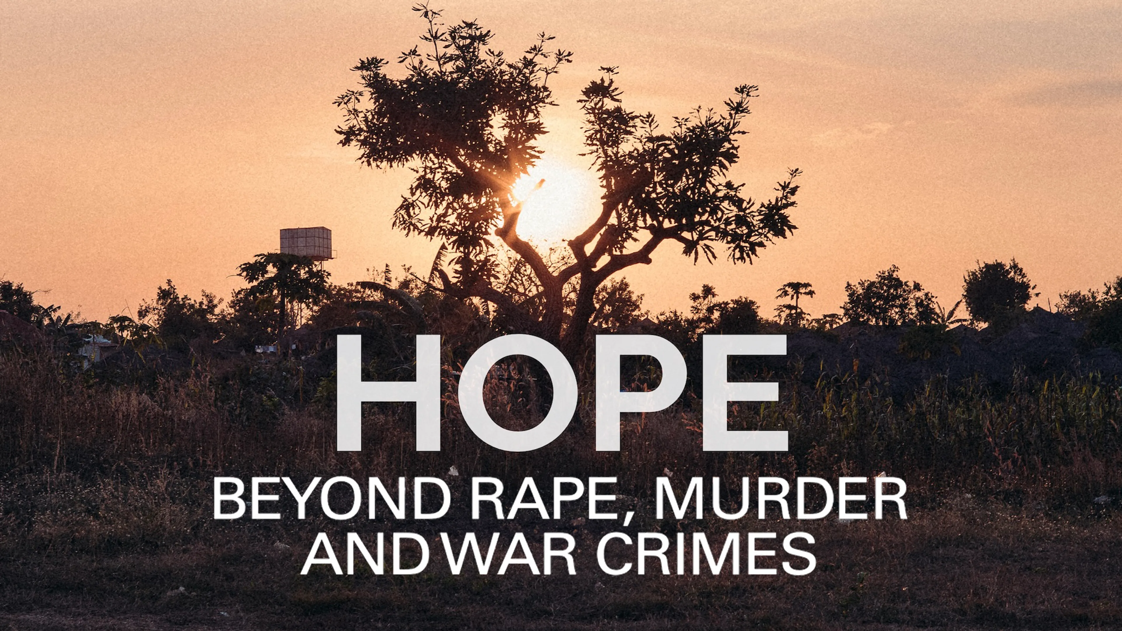 Hope: Beyond Rape, Murder and War Crimes poster